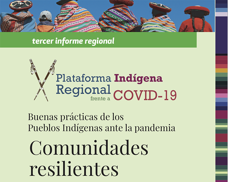 RESUMEN EJECUTIVO del primer Informe de la Plataforma Regional. Mayo de 2020