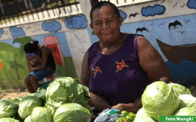 El empoderamiento de las mujeres indígenas: un proceso colectivo