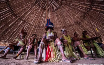 ONU: Povos Indígenas são os melhores Guardiões das Florestas na luta contra a mudança do clima