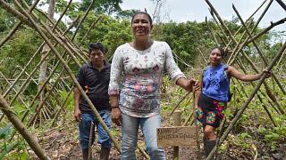 GIVING INDIGENOUS PEOPLE LAND RIGHTS SIGNIFICANTLY REDUCES DEFORESTATION, SAYS UN REPORT