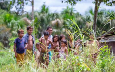 Hüter des Waldes: Wie Indigene das Klima schützen