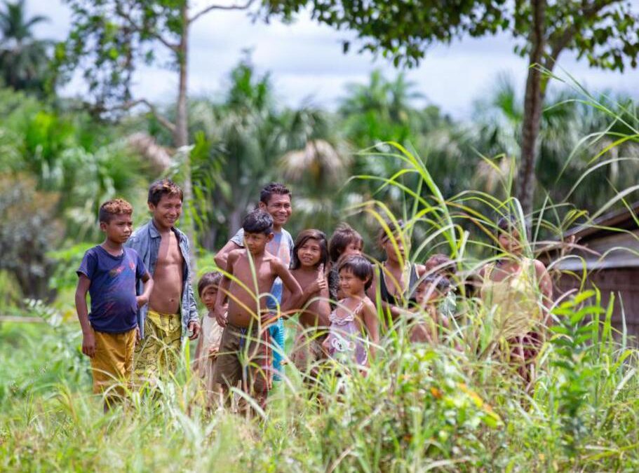 Hüter des Waldes: Wie Indigene das Klima schützen