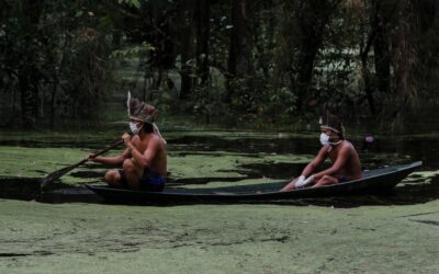 PUEBLOS INDÍGENAS SON LOS MEJORES GUARDIANES DE LOS BOSQUES EN AMÉRICA LATINA