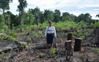 Pueblos indígenas y tribales los mejor guardianes de los bosques: ONU