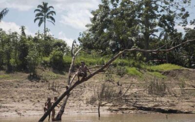 Diferencias en las compensaciones a indígenas que protegen los bosques de Latinoamérica as da América Latina e do Caribe