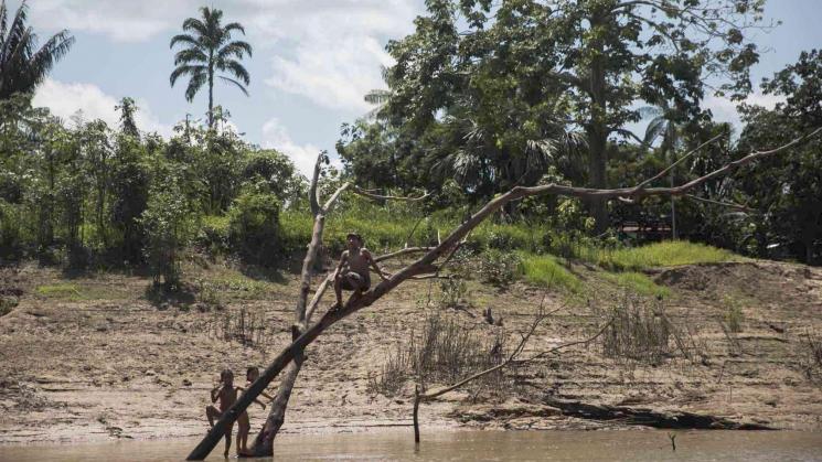 Diferencias en las compensaciones a indígenas que protegen los bosques de Latinoamérica as da América Latina e do Caribe