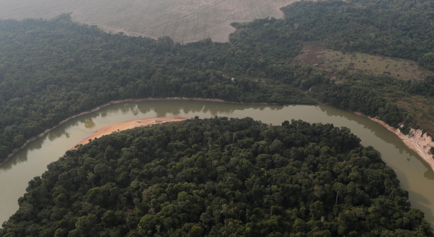 Estudo. Indígenas são fundamentais para proteger florestas e meio ambiente