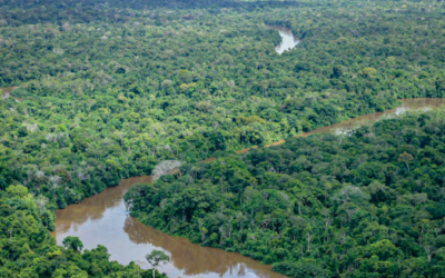 Estudo reforça evidências científicas de importância de terras indígenas para o clima