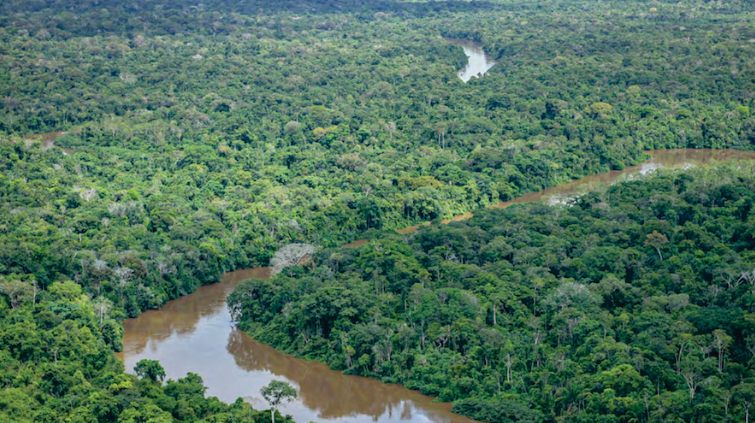 Estudo reforça evidências científicas de importância de terras indígenas para o clima