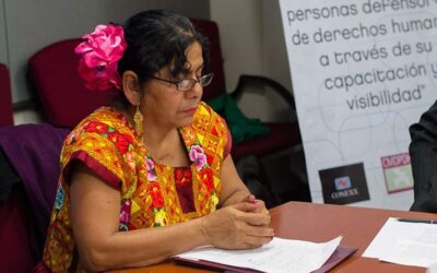 “Cuando llegas a una institución de gobierno, ahí te desconocen, ahí no existes, ahí no te ven”