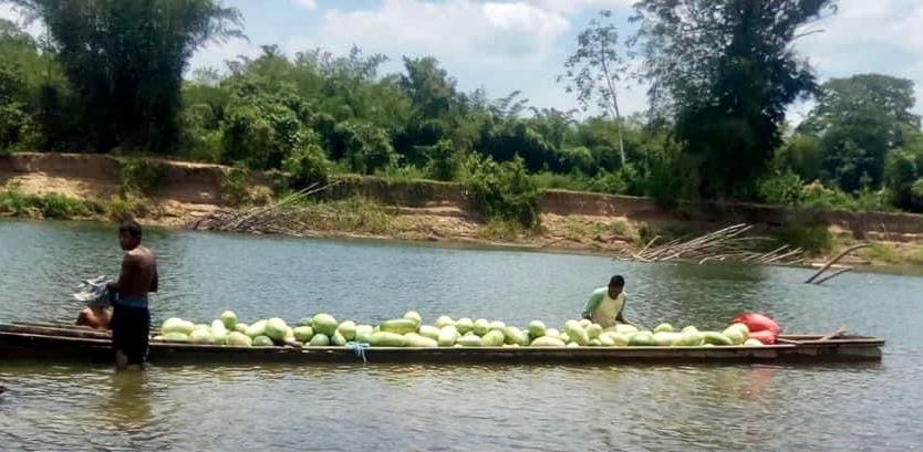 FILAC inicia este viernes los Diálogos Regionales en América Latina rumbo a la Cumbre sobre Sistemas Alimentarios