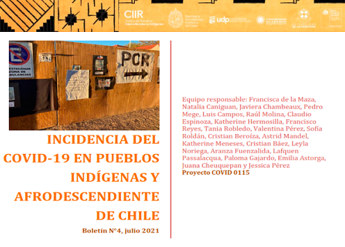boletin final