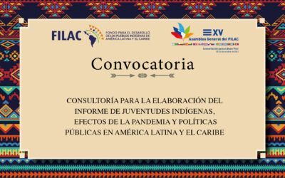 Convocatoria: Consultoría para la elaboración del Informe de Juventudes Indígenas, efectos de la pandemia y Políticas Públicas en América Latina y el Caribe