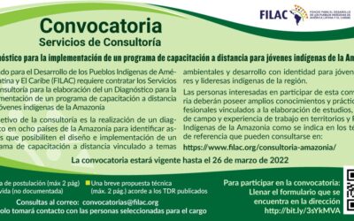 Convocatoria: Diagnóstico para la organización e implementación de un programa de fortalecimiento de capacidades técnicas a distancia para Jóvenes Indígenas de la Amazonía