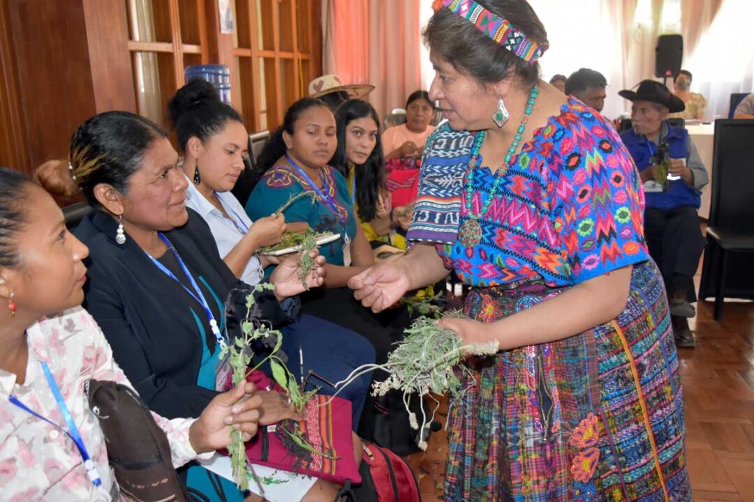 Guatemala Desarrolla Norma Con Pertinencia Cultural Para El ...