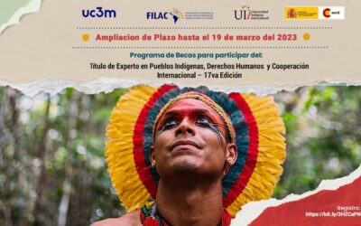 Ampliación Plazo: Becas para Título de Experto en Pueblos Indígenas, DD.HH. y Cooperación Internacional