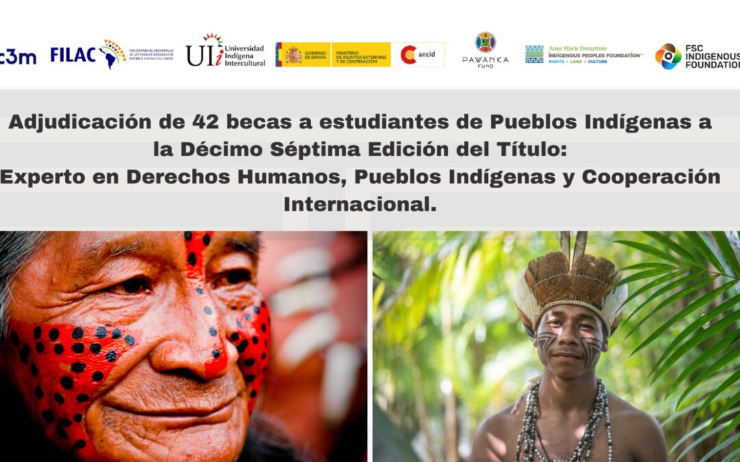 Adjudicación becas Título: Experto en DD.HH Pueblos Indígenas y Cooperación Internacional