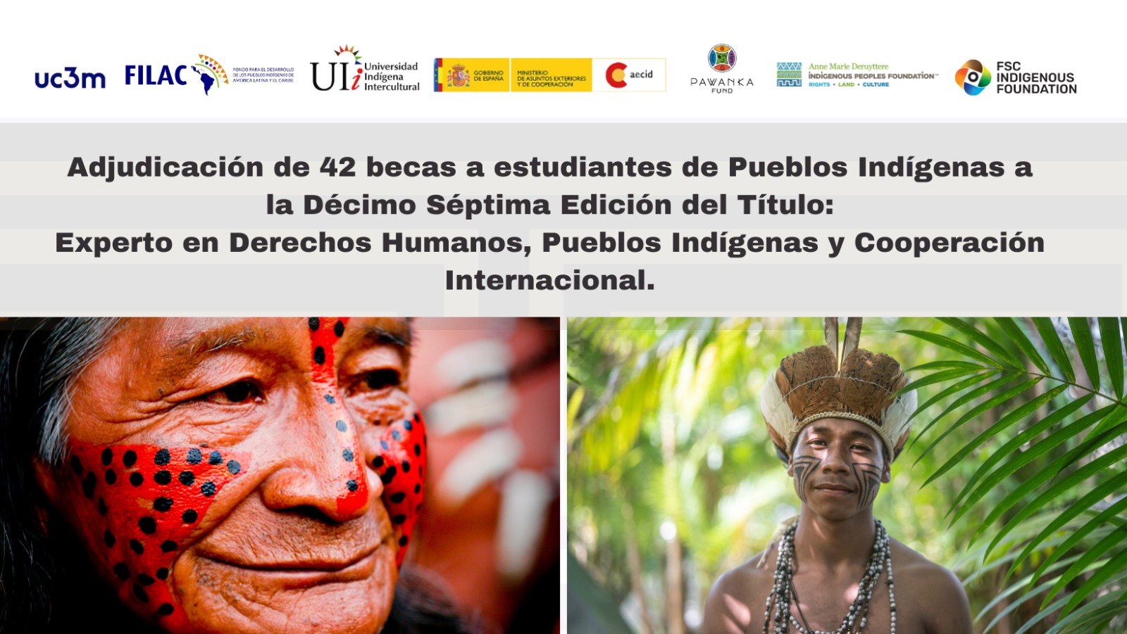 Adjudicación becas Título Experto en DD HH Pueblos Indígenas y Cooperación Internacional