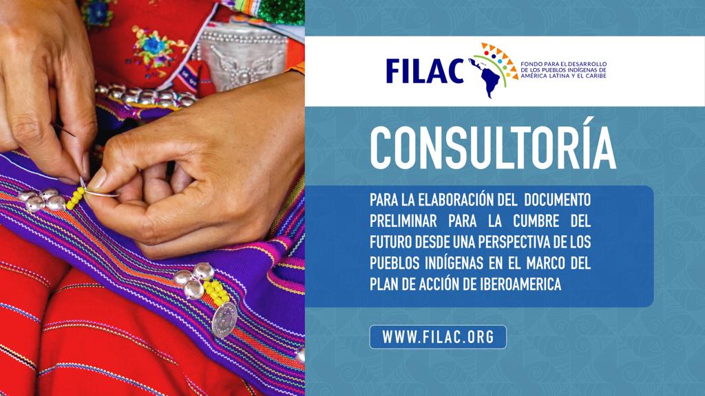 Consultoría: Elaboración de documento para Cumbre del Futuro desde perspectiva de los Pueblos Indígenas