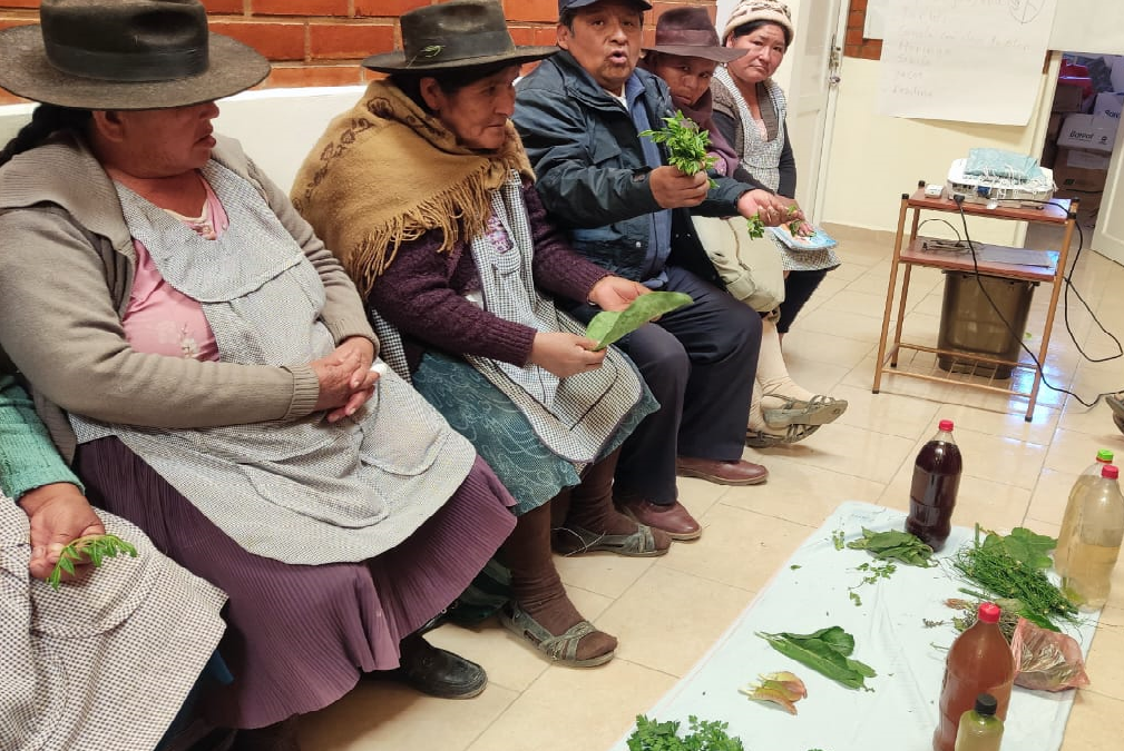 FILAC fortalece conocimientos sobre plantas medicinales para control y prevención de la diabetes