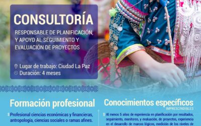 Consultoria: Responsable de planificación y apoyo al seguimiento y evaluación de proyectos