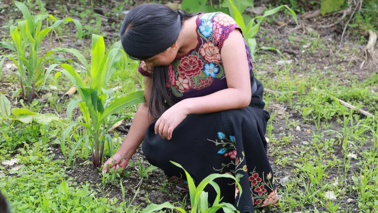 Jóvenes indígenas se capacitan para salvar la tierra conectando saberes