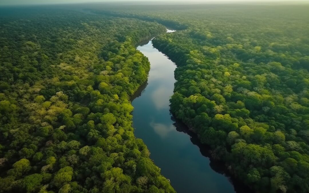 Juventudes indígenas se forman en mecanismos e instrumentos financieros climáticos