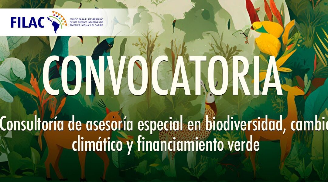 Convocatoria Pública: Consultoría de asesoría especial en biodiversidad, cambio climático y financiamiento verde