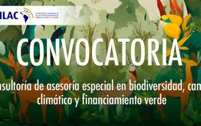 Convocatoria Pública: Consultoría de asesoría especial en biodiversidad, cambio climático y financiamiento verde