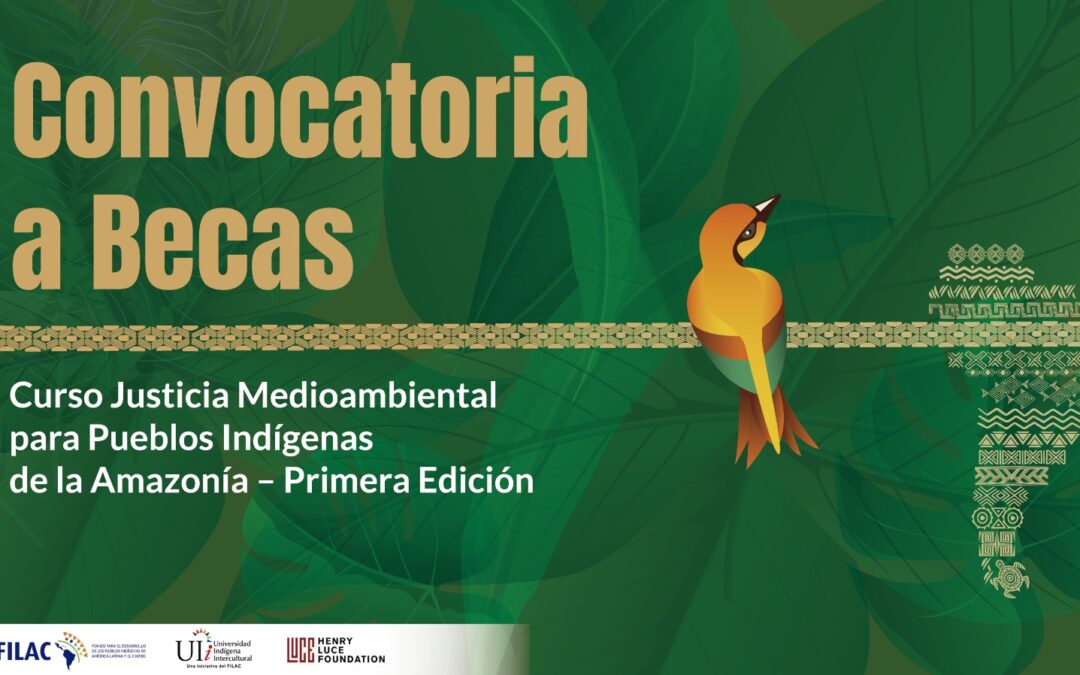 Convocatoria a Becas: Curso Justicia Medioambiental para Pueblos Indígenas de la Amazonía – Primera Edición