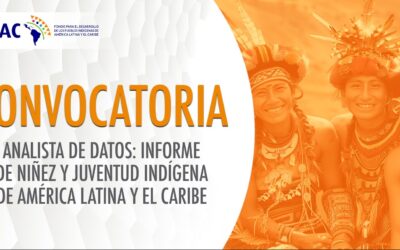 CONVOCATORIA PÚBLICA  ANALISTA DE DATOS: INFORME DE NIÑEZ Y JUVENTUD INDÍGENA DE AMÉRICA LATINA Y El CARIBE