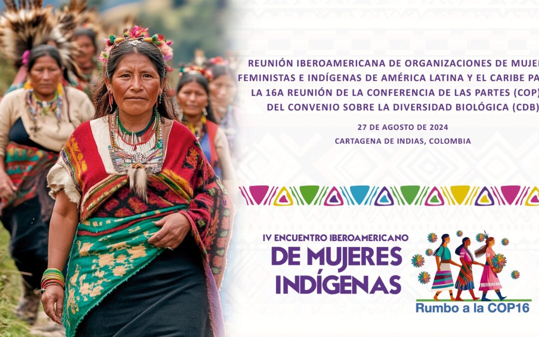 Reunión Iberoamericana de organizaciones de mujeres femenistas e indígenas de América Latina y el Caribe