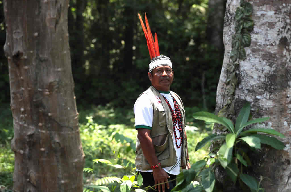 Trampa dorada en Madre de Dios: mercurio y desolación en la minería de la Amazonía peruana