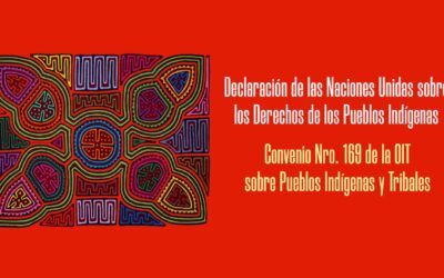 Declaración de las Naciones Unidas sobre los Derechos de los Pueblos Indígenas/Convenio 169 de la OIT sobre Pueblos Indígenas y Tribales