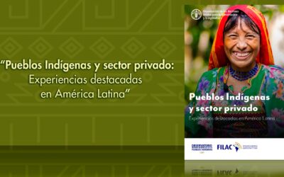 Pueblos Indígenas y sector privado Experiencias destacadas en América Latina