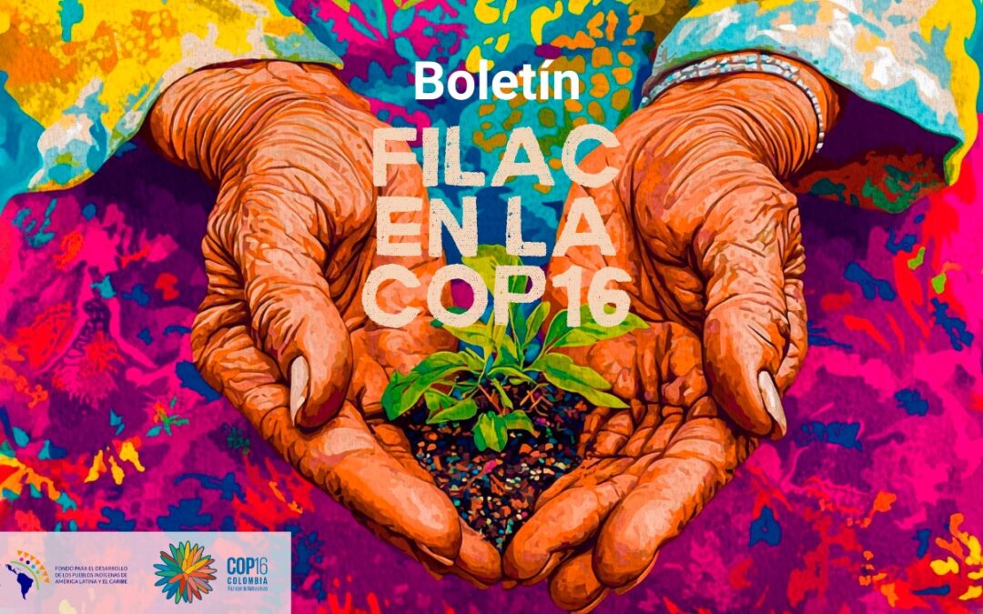 Boletín: FILAC en la COP16