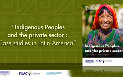 Indigenous Peoples and the private sector