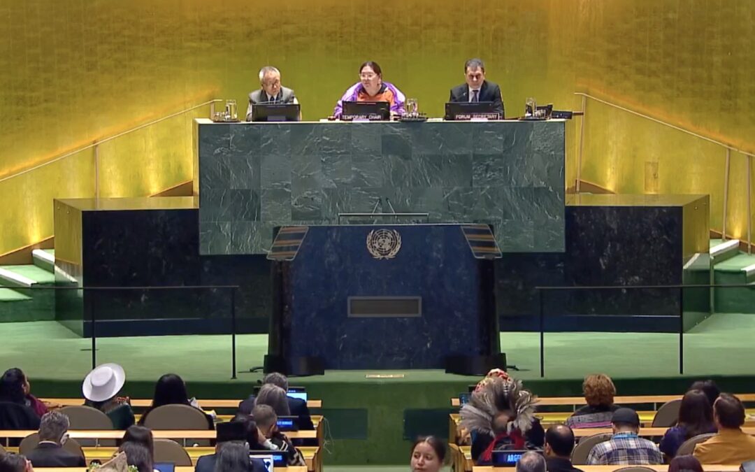 Aluki Kotierk, del pueblo inuit de Canadá, asume la presidencia del 24º período de sesiones del Foro Permanente para las Cuestiones Indígenas de la ONU