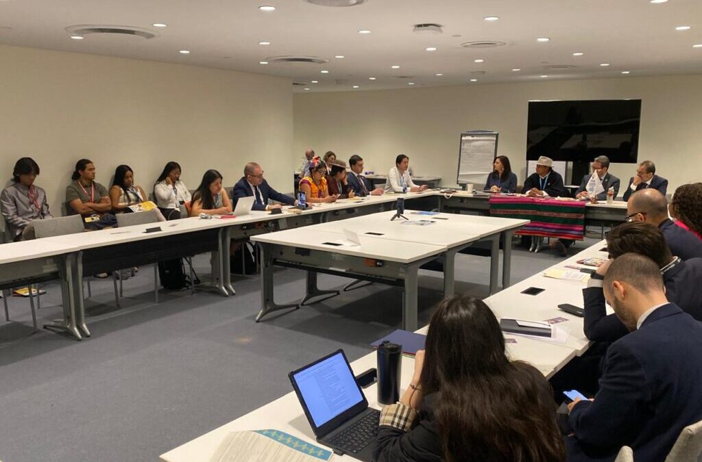 Juventudes realizan retroalimentación del informe sobre niñez y adolescencia indígena en América Latina y el Caribe