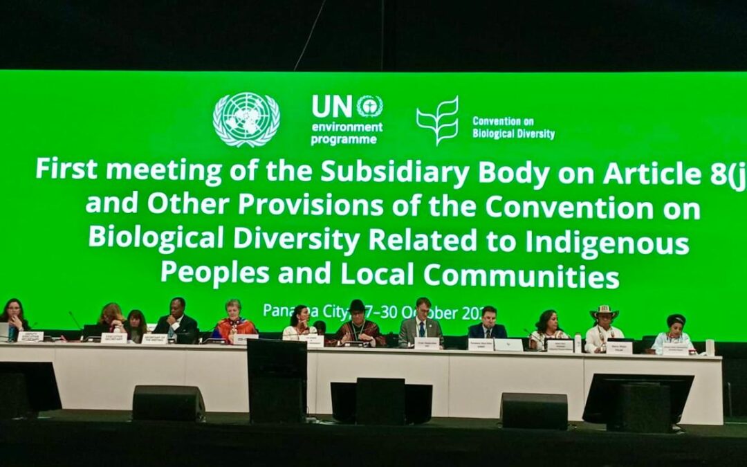 FILAC promueve el debate sobre los derechos de los Pueblos Indígenas y la Meta 3 del Marco Mundial de Biodiversidad de Kunming-Montreal