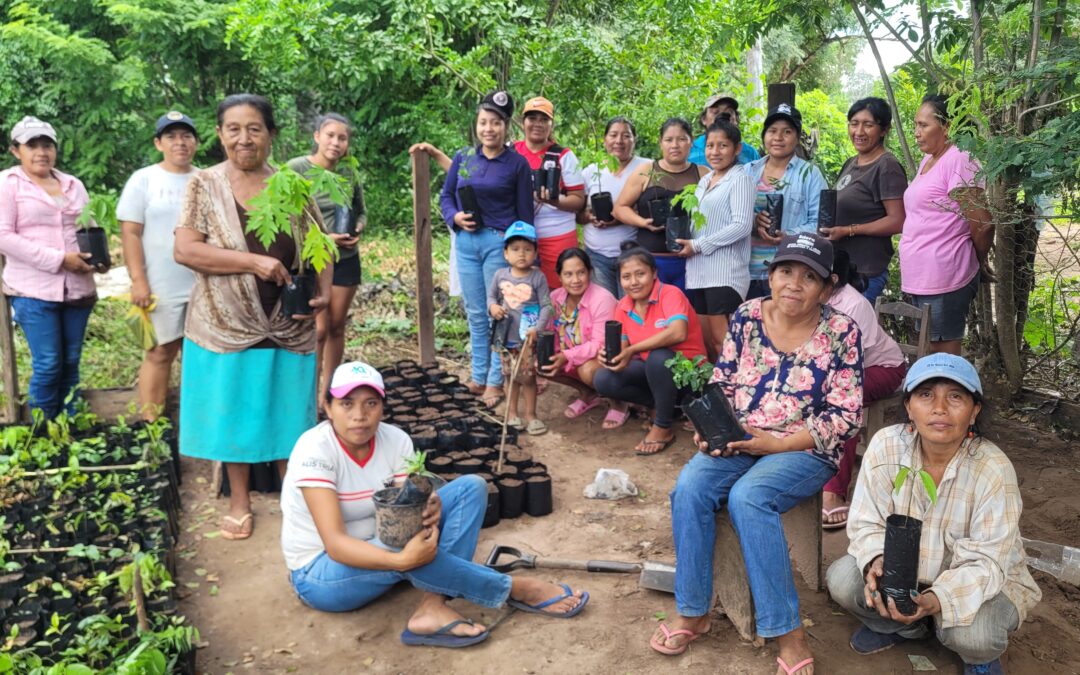 Mujeres y juventudes transforman frutos silvestres en oportunidades para fortalecer su economía y frenar la deforestación del Bosque Chiquitano