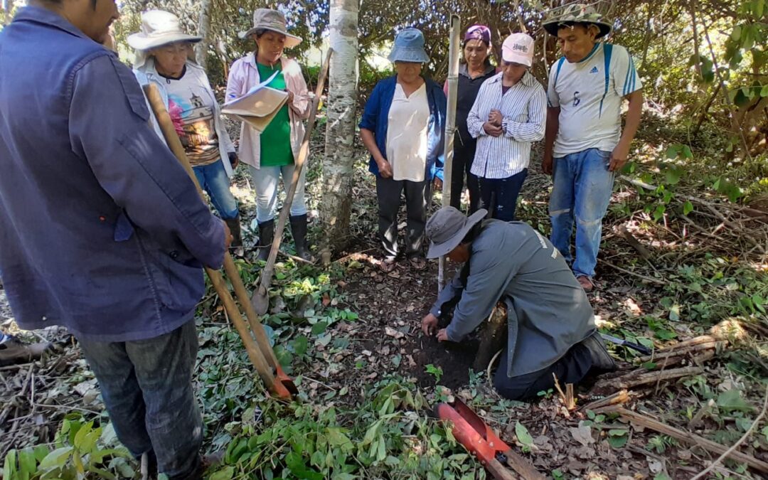 Pueblos Indígenas de Lomerio restauran el bosque con sistemas agroforestales y gestión comunitaria