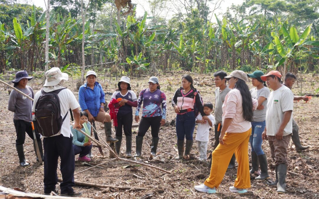 Mujeres Shuar recuperaron saberes ancestrales para fortalecer la soberanía alimentaria y la conservación de la biodiversidad en la Amazonía ecuatoriana