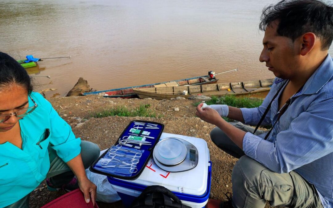 FILAC y el Estado boliviano fortalecen la vigilancia del mercurio con análisis de peces, agua y cabello en la Amazonía